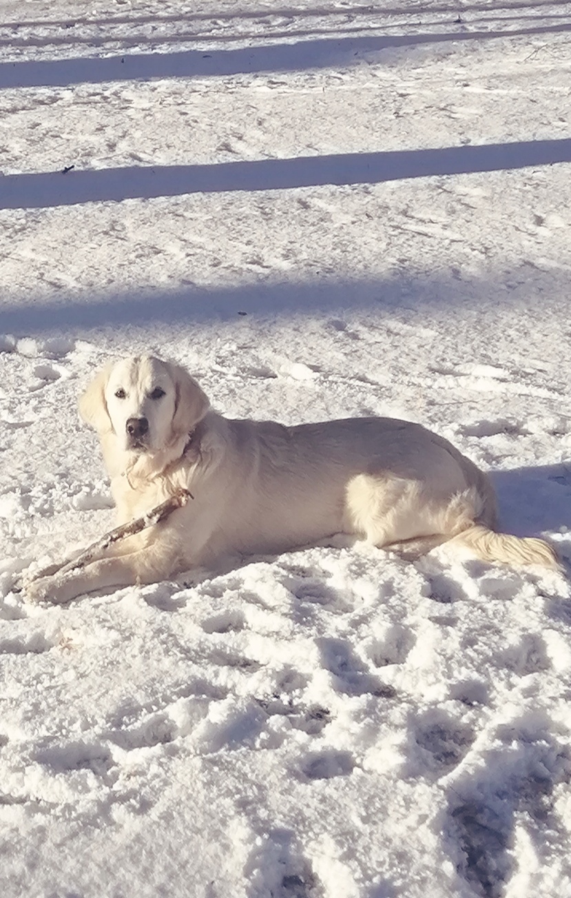 Bessy - slečna světle zelená - 8 měsíců