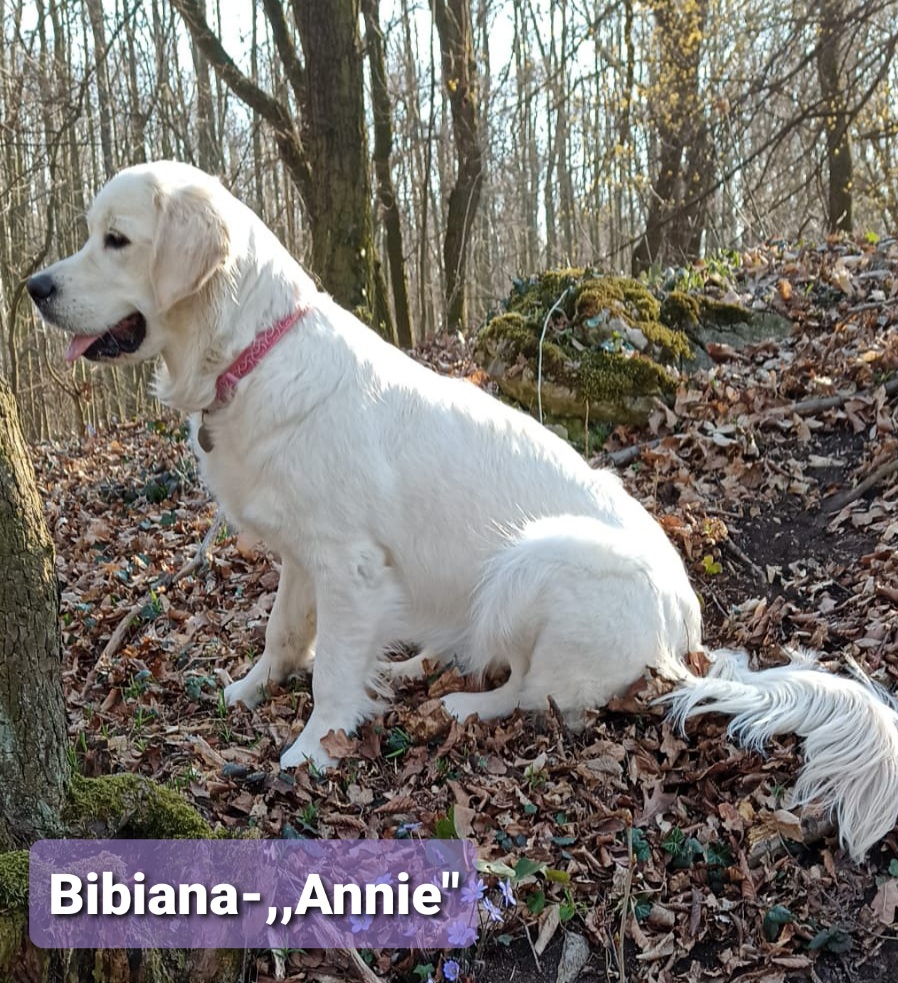 Bibiana - ,,Annie" - 10 měsíců