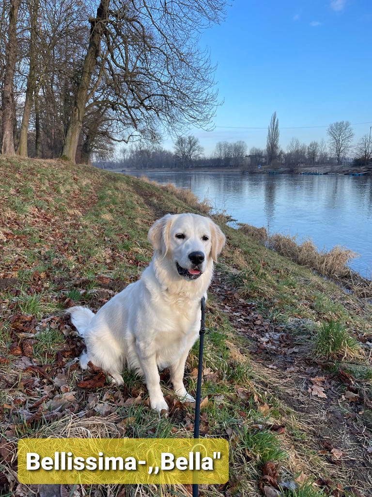 Bellissima - ,, Bella" - 10 měsíců