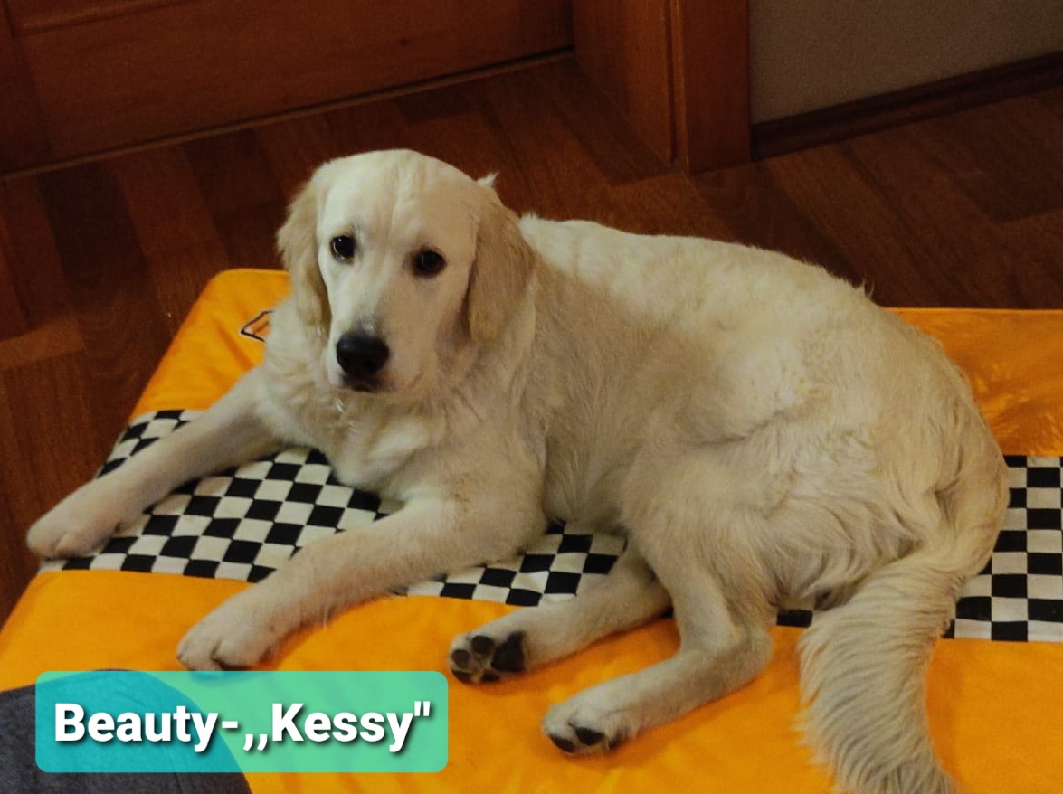 Beauty - ,,Kessy" - 10 měsíců